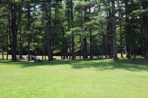 Picnicing in Thacher Park