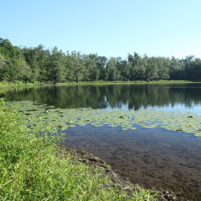 Thompsons Lake